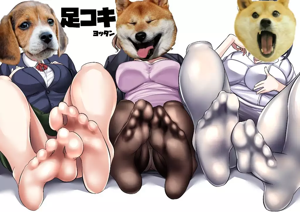 Ashikoki （Chinese）［胸垫汉化组］