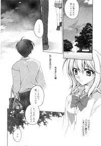 [Suzudama Renri] Yellow Cherry Pie