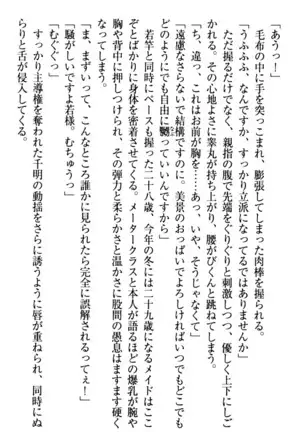 年上メイドの新婚日記