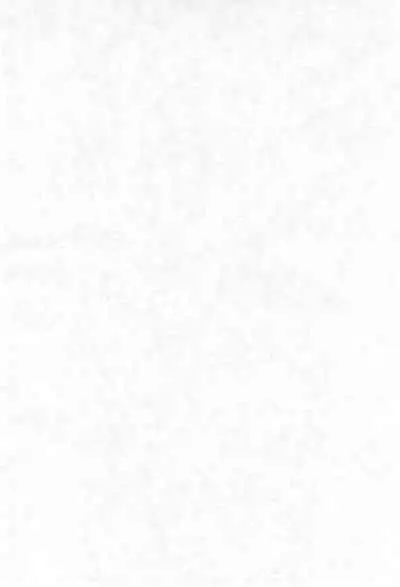 Ashita ga Ki ni naru 3