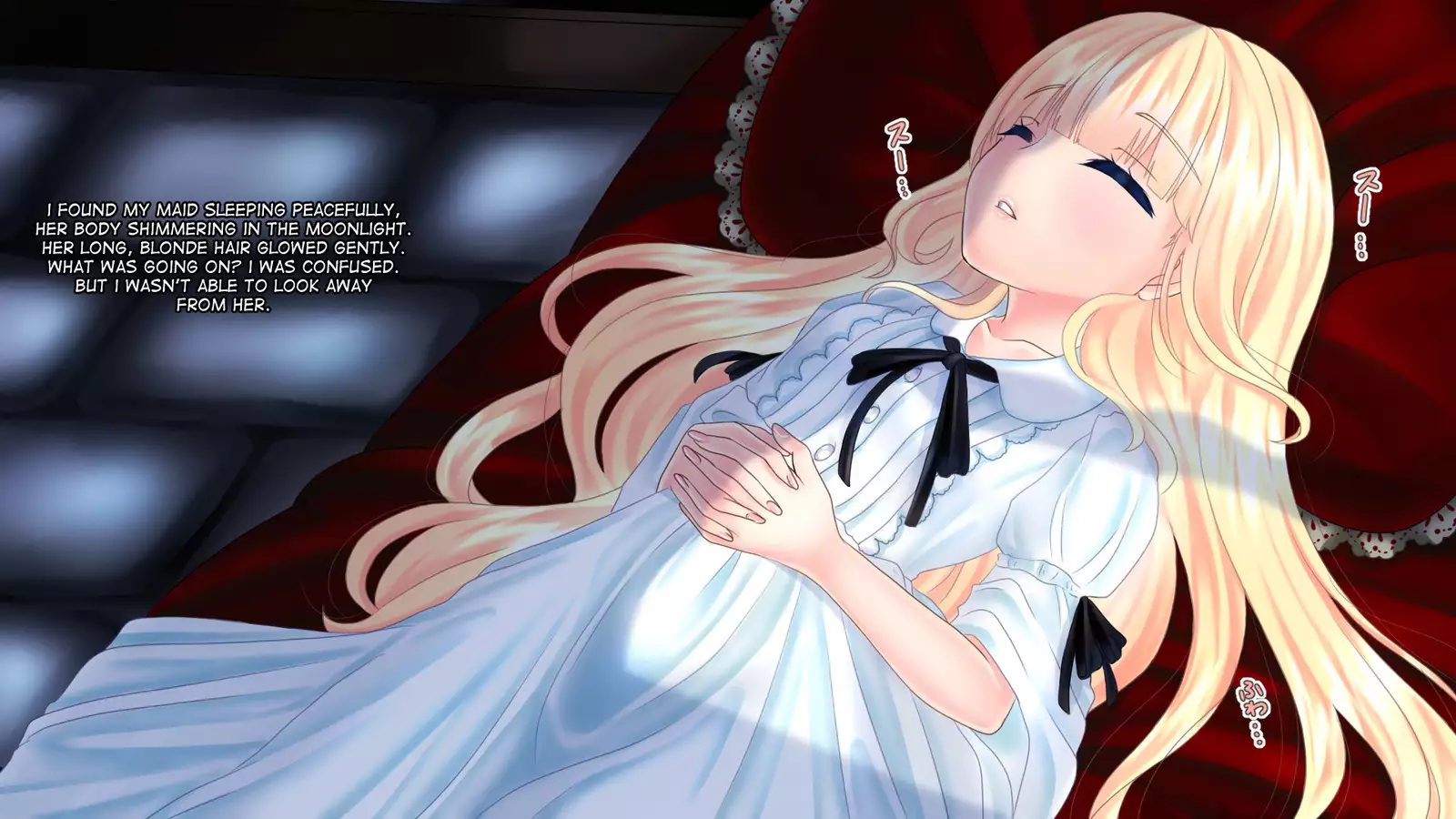 Aru Ryoushu no Nikkichou