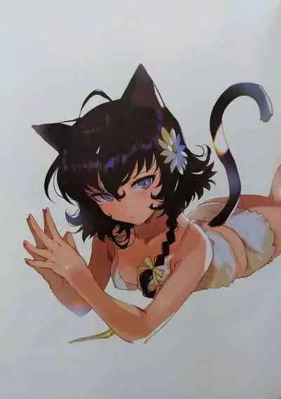 KITTY +plus