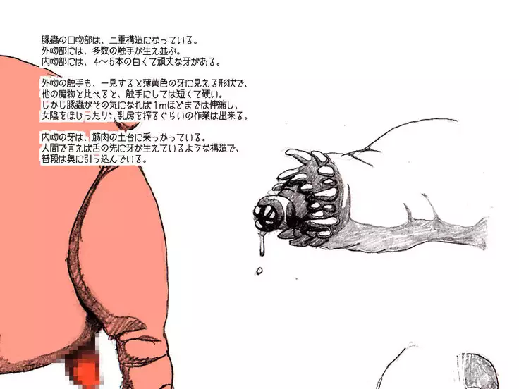 Orc no Yabou：設定資料「豚蟲」