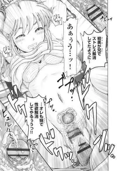 Hannin-tachi no Ryakushu Jikenbo