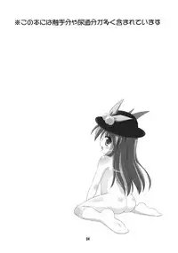 (Reitaisai 7) [Saihate-Kukan (Hino Hino)] Nazrin o Tansaku Shitai! (Touhou Project)