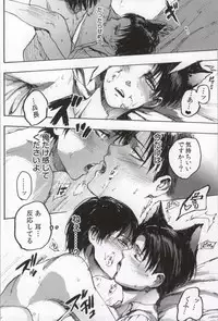 (C86) [Onjire (Tamy)] ONGRE2013 (Shingeki no Kyojin)