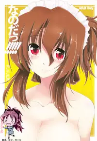 (C78) [Girigiri Nijiiro (Kamino Ryu-ya)] Nanoda!!!!! (Hayate no Gotoku!) [Chinese] [酷鲨汉化]