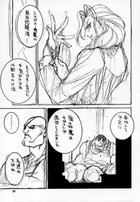 [P-collection] Street Fighter Story