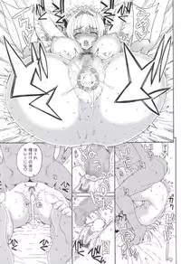 (COMIC1☆9) [Magono-Tei (Carn)] Kayumidome 13 Houme (Amagi Brilliant Park)