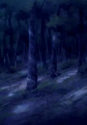 Shion ~Zankoku na Mahou no Tenshi~