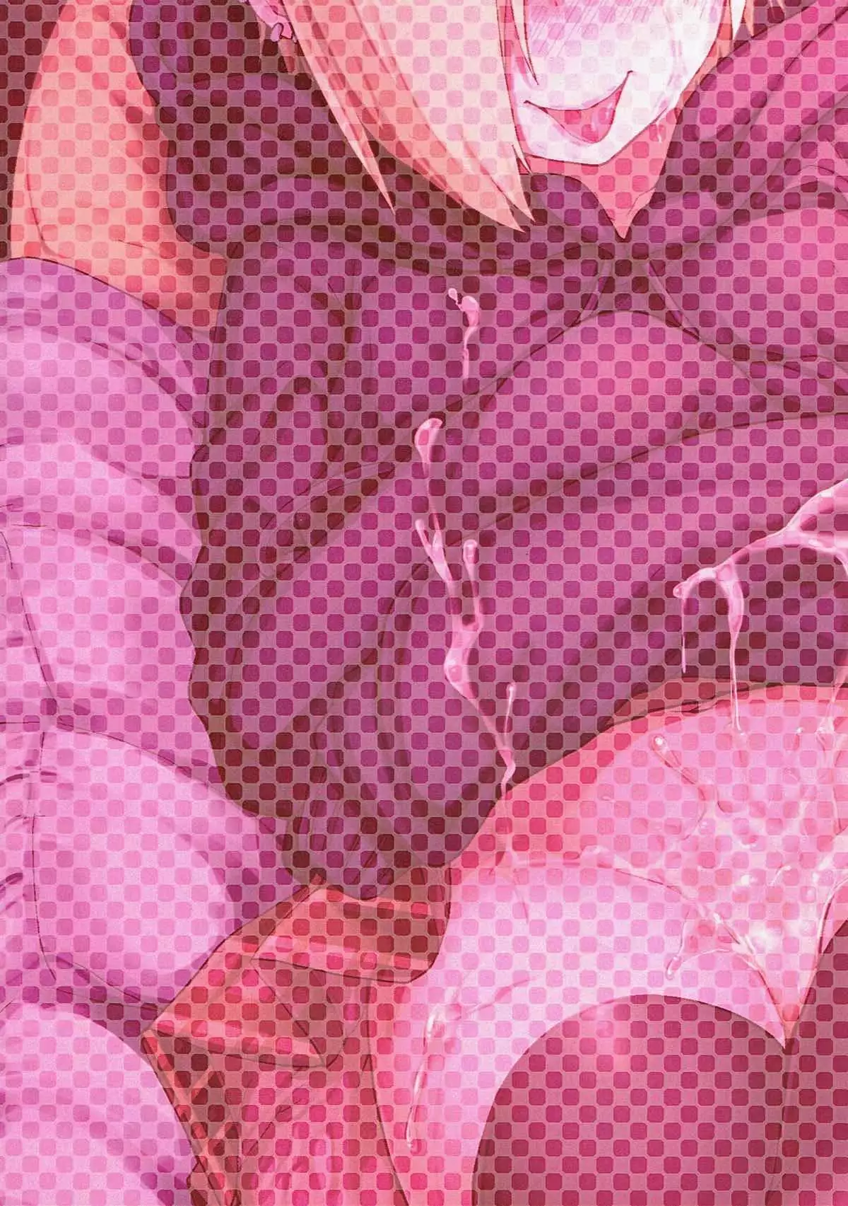 Koume-chan wa H ga Osuki