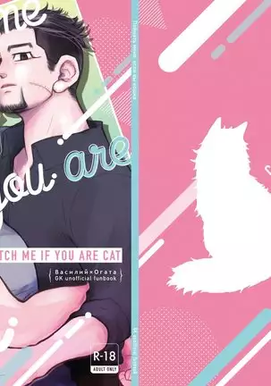 CATCH ME IF YOU ARE CAT