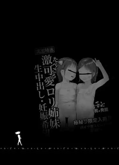 [Circle FEED (Wau)] Sisters + Rough Shuu [English] [biribiri]