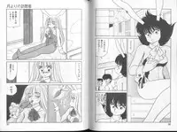 [Oshino Shinobu] Bunny 3%