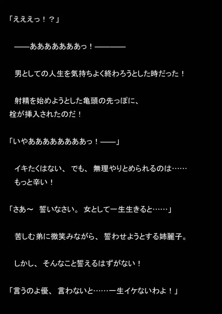 Nyoutaika Sousakan VS Meido Kata Eirian Vol 2