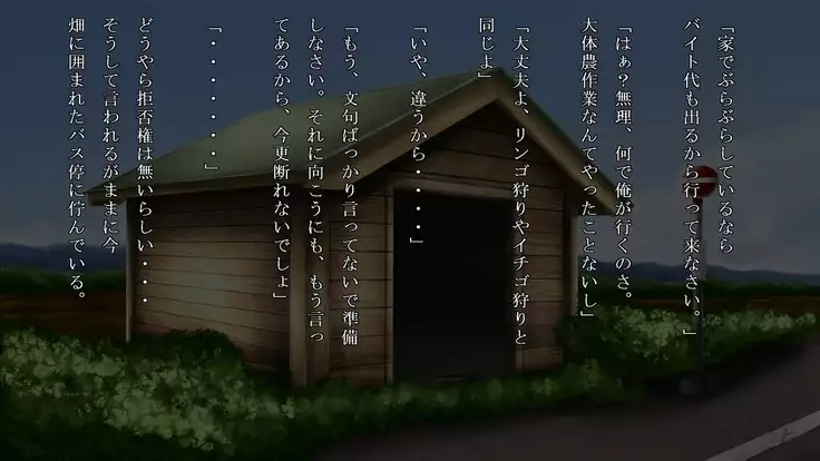 Akiko, Tomato Farmer