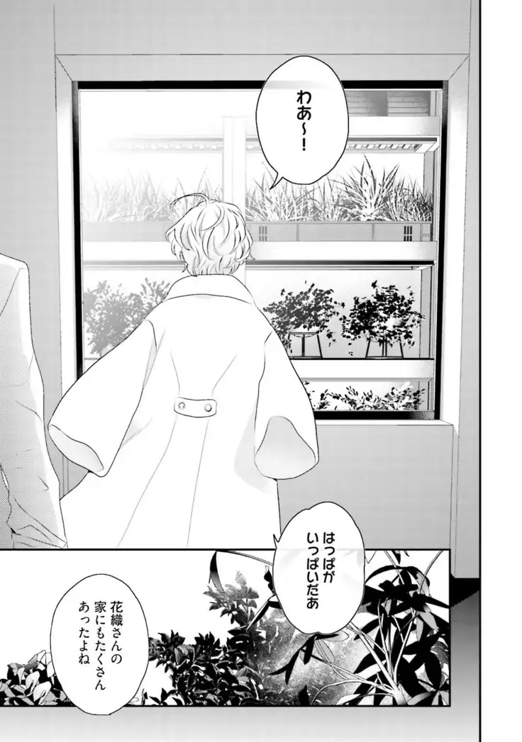 Tennen Jufun Sugar Baby