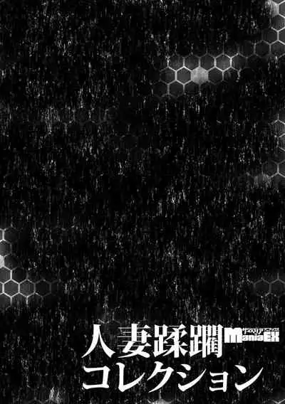 Cyberia Maniacs Hitozuma Juurin Collection Vol. 007