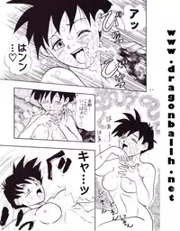 (C54) [Chirigami Goya, Fusuma go Ten (Shoji Hariko)] Tirinuruwo (DRAGON BALL)