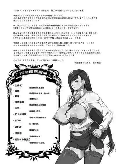 Boku no Kangaeta Materia: Kai