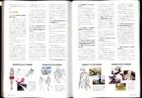 [Ricotta] Walkure Romanze Visual Fanbook