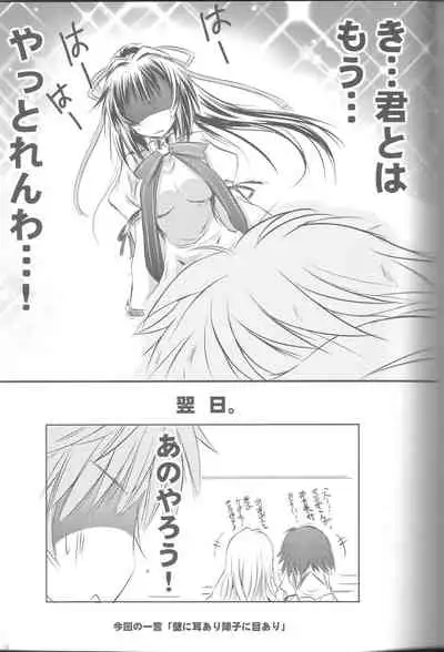 (C80) [SONIC WINTER (Tsukishima Kai)] VISION Fifteen (Rewrite)