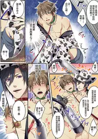 [Osuchichi ☆ 801 (Kairi)] Bokujou de Sakunyuu Taiken [Chinese]