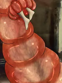 One Piece Marunomi Kyuushuu SEX