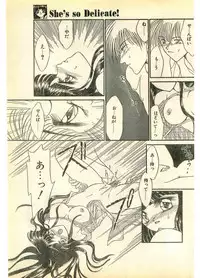 COMIC Papipo Gaiden 1995-11 Vol.17