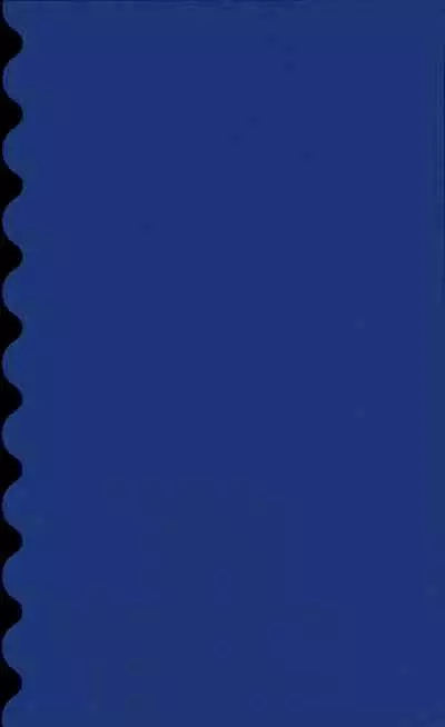 Chi no Tsunagaranai Otouto 2