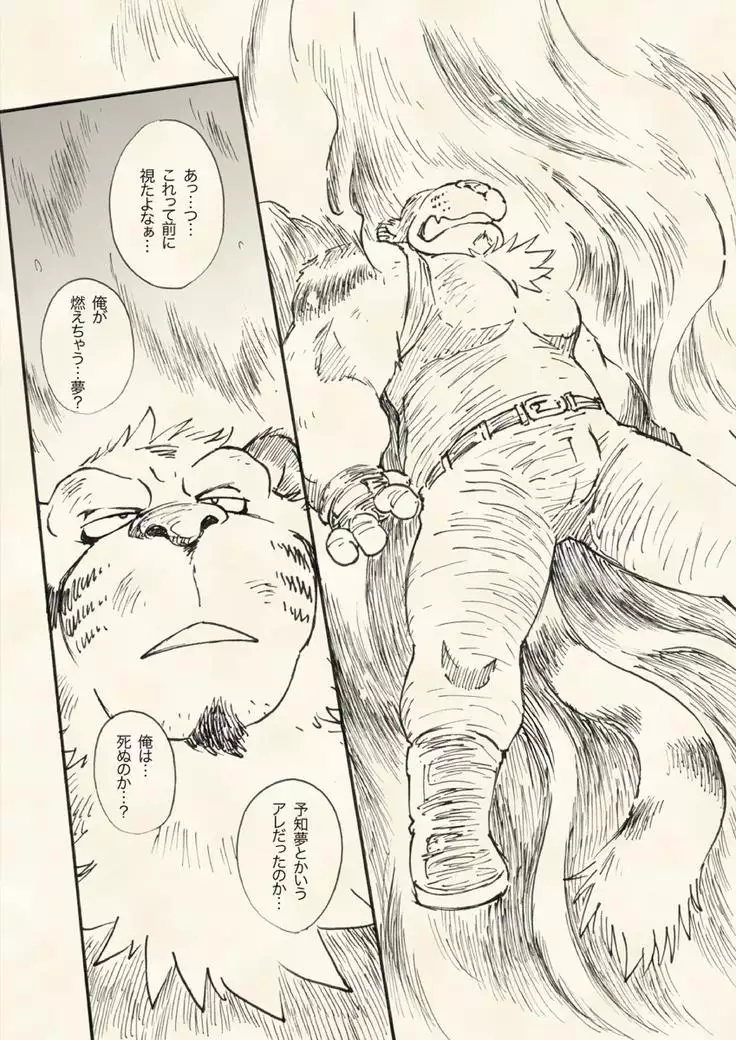 Flame Tiger Fighter - Birth Story -