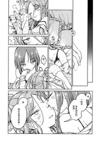 (Reitaisai 15) [Suoiretsym (Hisona)] Fusego, Usuakari (Touhou Project) [Chinese] [迷途竹林汉化]