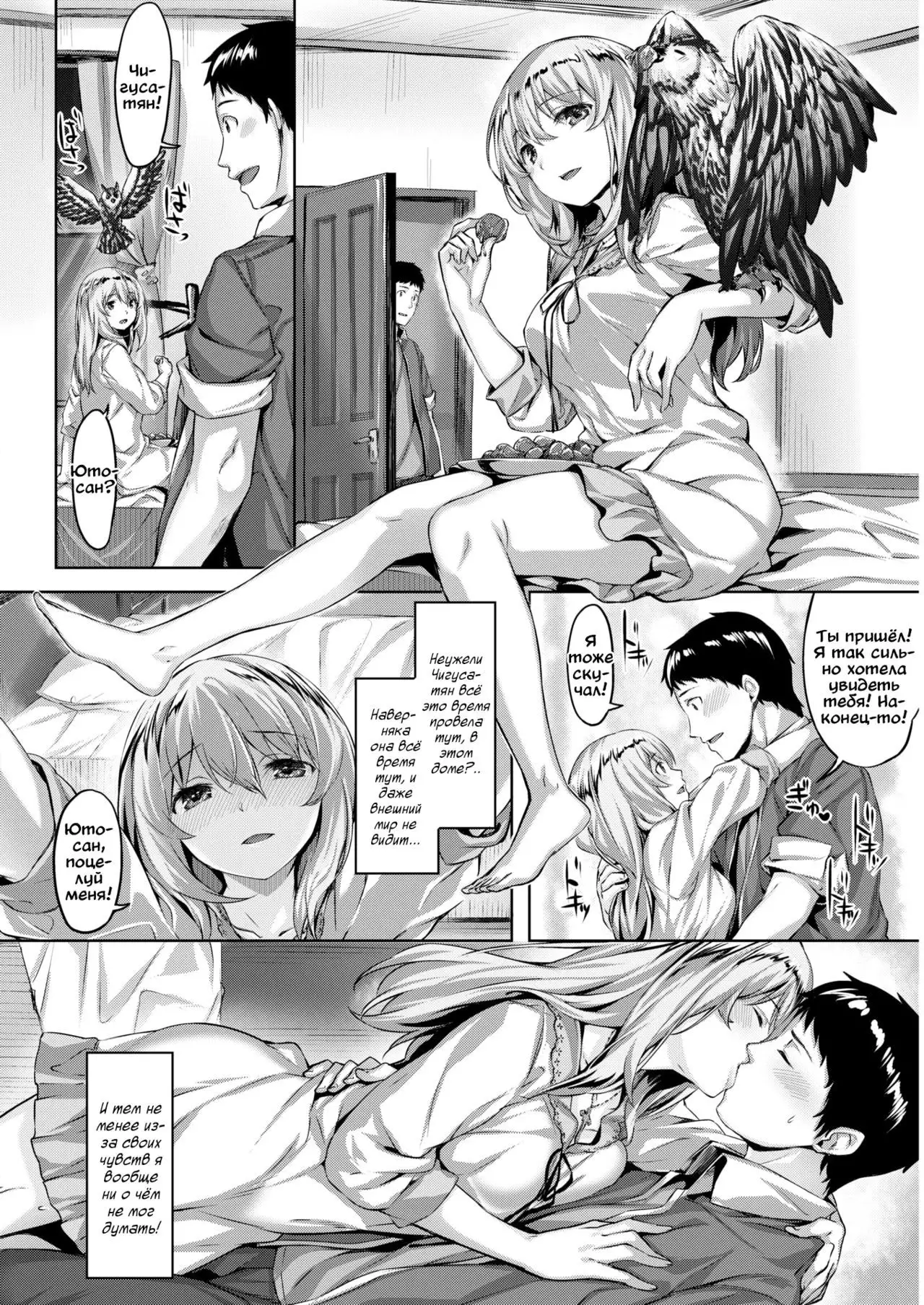 Fukurou no Mabataki | Совий взор