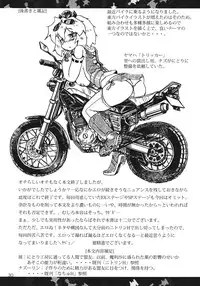 (C80) [Panzers (Okiraku Nic)] Toramaru Sex (Touhou Project)