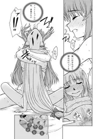 [Fresnel Lens (Hirano Kana)] 19→13 VerF (Mahou Shoujo Lyrical Nanoha) [Digital]