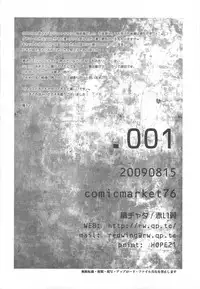 (C76) [Akai Tsubasa (Tachibana Chata)] .001 (Fantasy Earth ZERO)