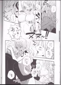 (C82) [Orange Typhoon (Yamada Enako)] Change Over (One Piece)