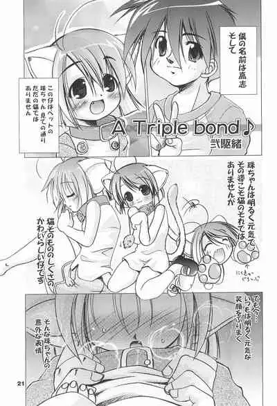 (C65) [Tenny Le Tai (Various)] Loli Neko HARD