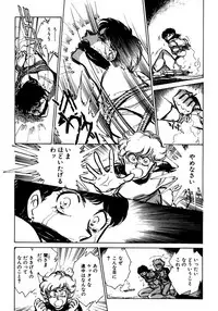 [Shibata Masahiro] Nano Sector