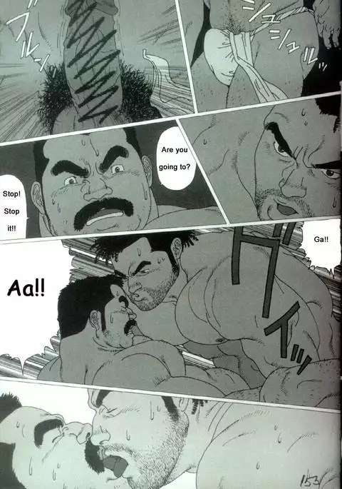 Harbour Frstival Passion