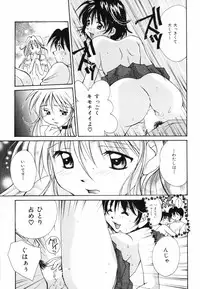 [Setsuna] Hoshikuzu Sakura | STAR DUST CHERRY TREE.