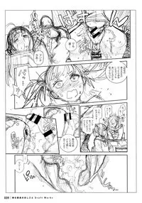 Houshi-iin No Oshigoto DRAFT WORKS