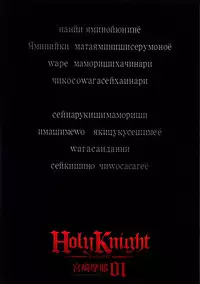 [Miyazaki Maya] Holy Knight 1