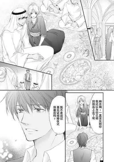 sabaku no ōji to kaizoku hime | 沙漠王子与海盗公主