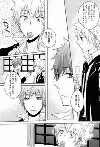 (C80) [Alpenreise (Ayano Ena)] Kiseki (Katekyo Hitman REBORN!)