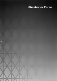 (CR35) [Tenjikuya (Mochizuki Nana)] Another Girl II (Fate/stay night) [Chinese]