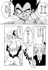 MOEBON BALL KAI (Dragonball Z) [Vegeta X Bulma]
