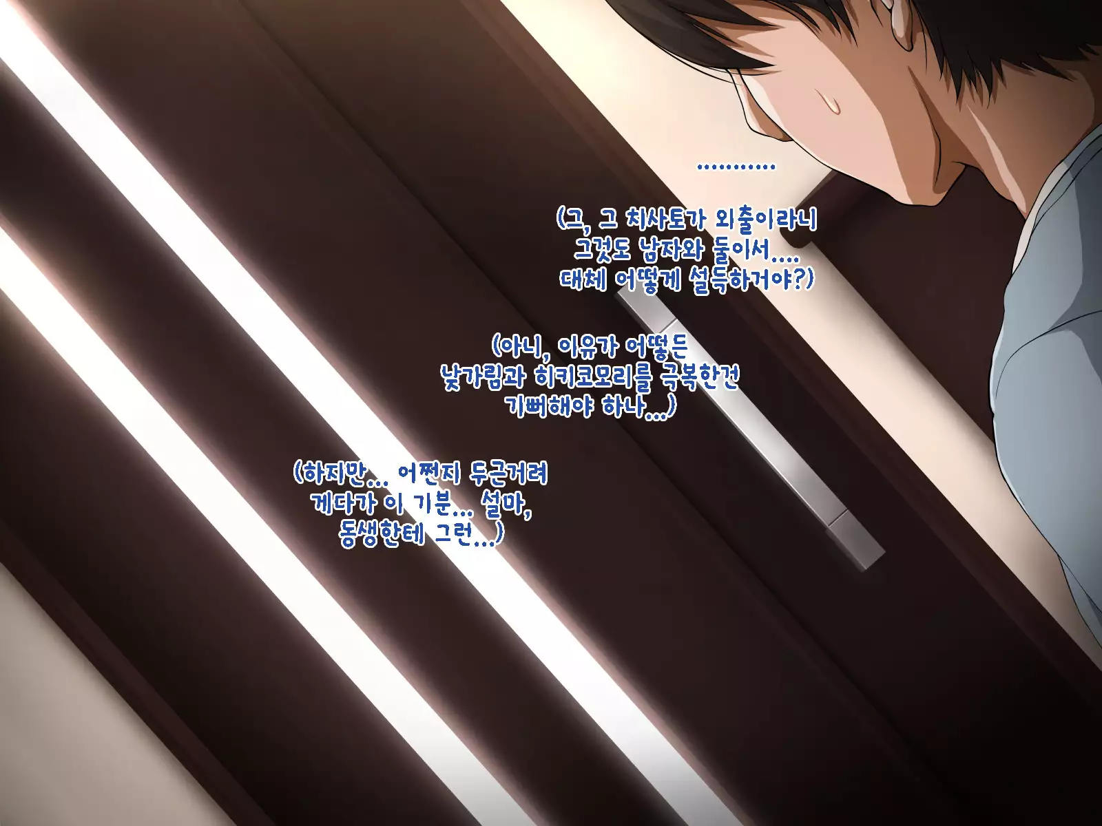 Hikikomori no Imouto ni SeFrie ga Dekimashita