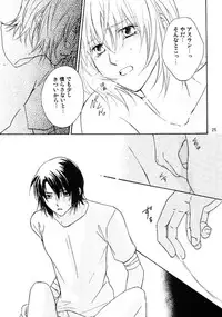 [Berry & Precious] Koyoi Ichiya (Gundam SEED DESTINY)