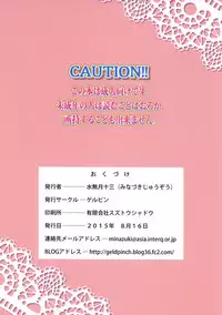 (C88) [Gerupin (Minazuki Juuzou)] Yoru no Gran Princess (Go! Princess PreCure)